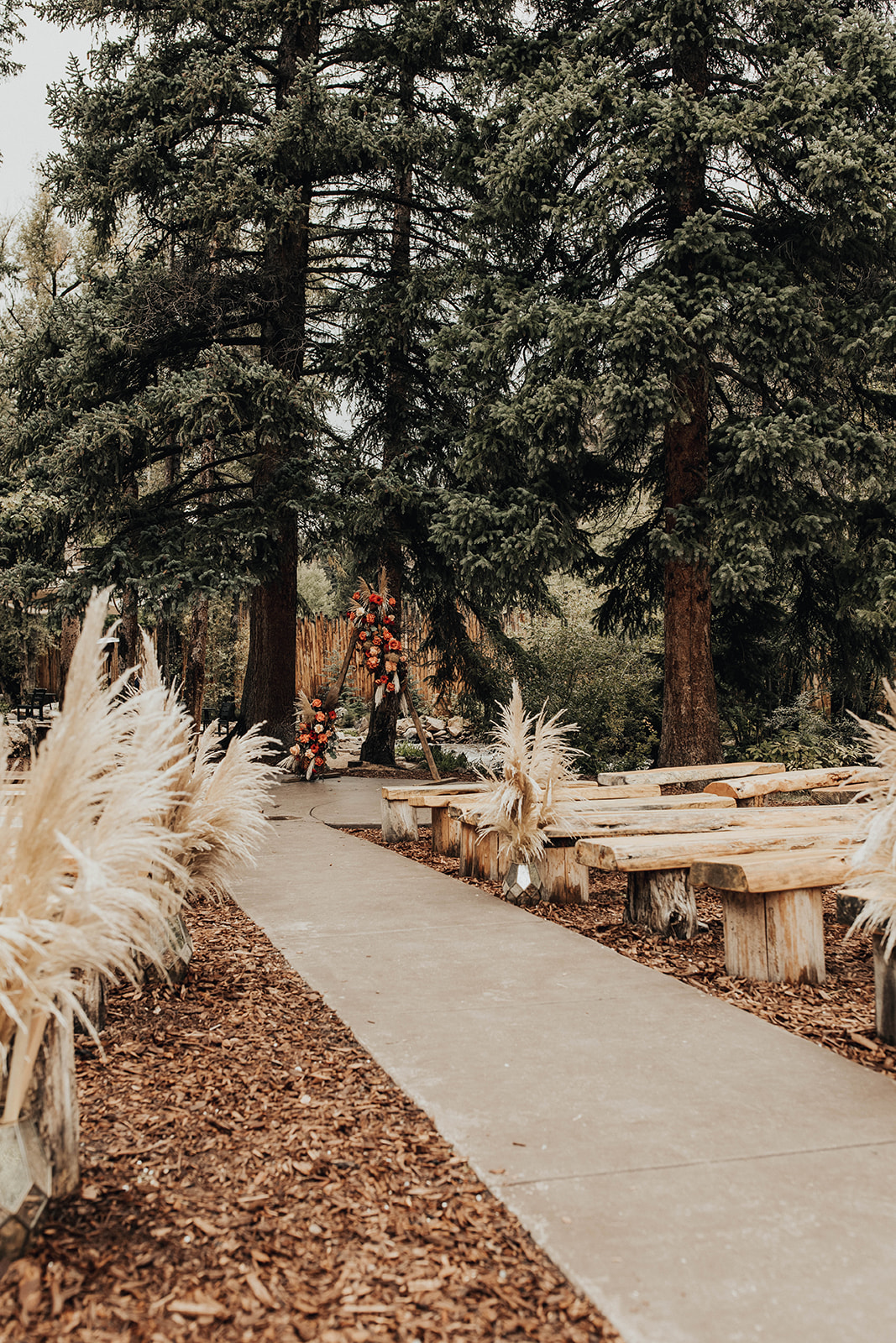 A rustic forest wedding ceremony setup at Blackstone Rivers Ranch with wooden benches and pampas grass aisle decor, nestled among tall pine trees β perfect for intimate Denver wedding venues.