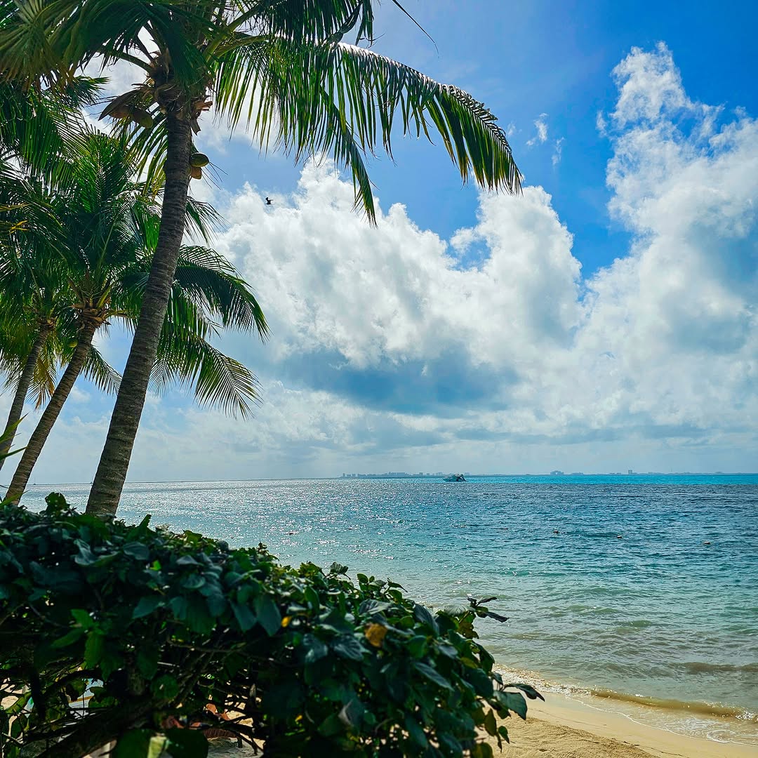 Secluded beachfront with ocean views and palm trees near Zoëtry Villa Rolandi, a luxurious venue for an intimate Isla Mujeres wedding.