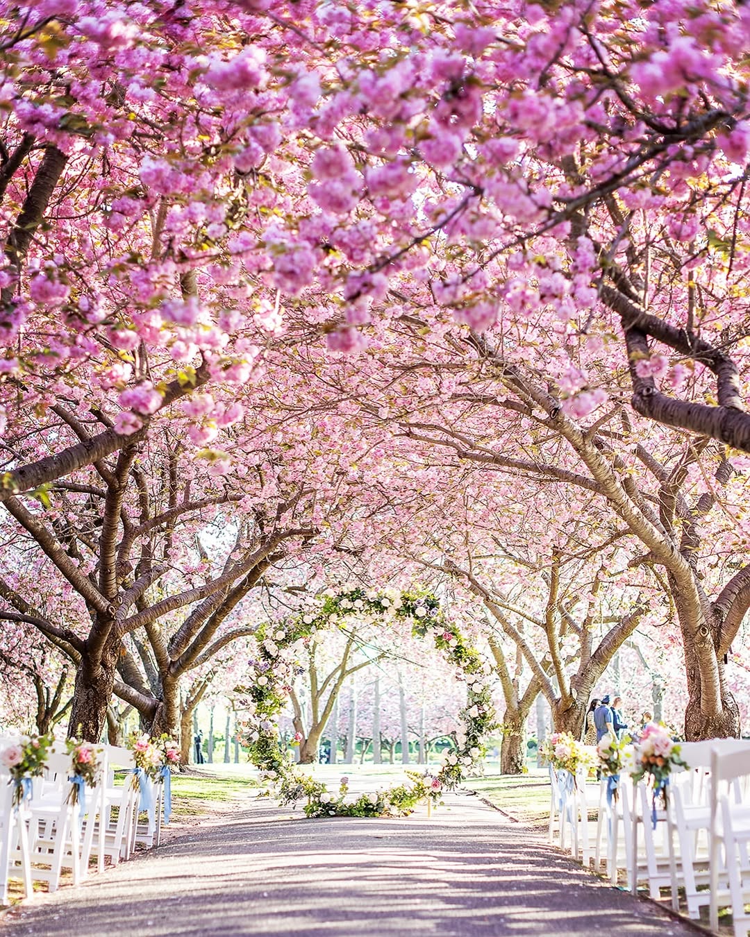 Brooklyn Botanic Garden wedding venue in New York City under cherry blossoms, creating a magical floral aisle for springtime ceremonies.